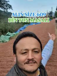 Altınordu'da hizmet veren Altın Fındık 52 işletmesi, fındık kırma, kavurma,  paketleme ve ezme işlemleriyle üreticilere destek oluyor. İşletme sahibi Ethem  Yüksel, kokarca sorununa karşı üreticilerin gerçek durumu en iyi  işletmelerde görebildiğini ...