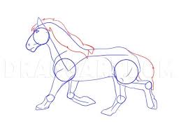 For the neck draw a l shaped line coming from the bottom of the head. How To Draw A Mustang Horse Step By Step Drawing Guide By Dawn Dragoart Com