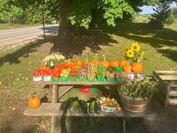 Scott Bester (@ScottJBester)