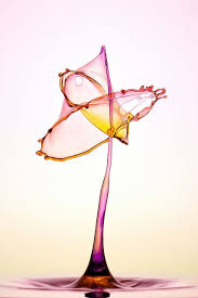 Pure Colors Water Drop Photography Water Art Splash Photography