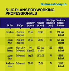 Term insurance is the simplest and most fundamental insurance product. 5 Lic Plans Best Suited For Salaried Employees Offer Payment Flexibility