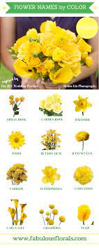 Flower is symbolic of wealth, prosperity and yellow roses: Yellow Flowers Commonly Evoke Feelings Of Happiness And Cheer Which Is Exactly What They Symbolize Yellow F Yellow Flowers Names Flower Names Flowers Bouquet