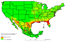 How long you have had the plant and how long it has been sick. Insects Free Full Text Ecological Niche Modeling To Calculate Ideal Sites To Introduce A Natural Enemy The Case Of Apanteles Opuntiarum Hymenoptera Braconidae To Control Cactoblastis Cactorum Lepidoptera Pyralidae In North