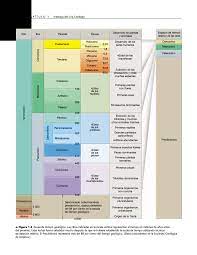 Este mapa representa el resultado de la homogeneización cartográfica de la serie del mapa geológico magna (cartografía geológica nacional a escala 1:50.000). Esquema Del Tiempo Geologico Docsity