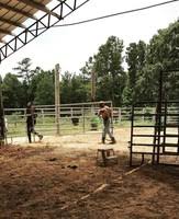 Daniel Sumrall Obituary