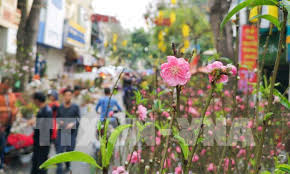 Chợ hoa truyền thống Hàng Lược chào đón Tết Tân Sửu 2021