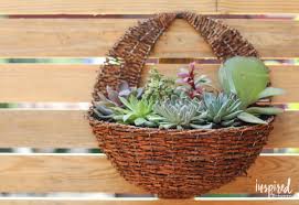 I've created a complete 'how to' section at the bottom of the post where you can scroll to for quick directions. Diy Succulent Wall Planter