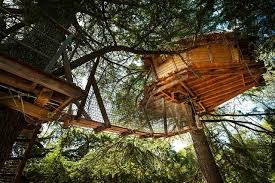 Les Cabanes De L Arbousier Sussargues France Tarifs 2021 Mis A Jour Et Avis Camping Tripadvisor