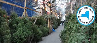 Hours may change under current circumstances Farm Fresh Christmas Trees Grown In New York State Farm Fresh Christmas Trees Grown In Ny State