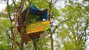 Casa en venta barrio el bosque caracteristicas : Opinion La Lucha Por El Bosque De Hambach Es La Lucha Por El Futuro Del Clima Alemania Dw 17 09 2018