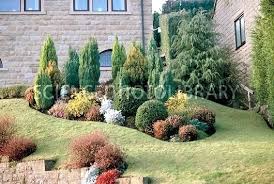 Conifer Garden Ideas Conifer Garden Conifer Garden Design Ideas Australia Conifers Garden Garden Design Farmhouse Landscaping