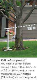 Check spelling or type a new query. Tree Preservation By Law