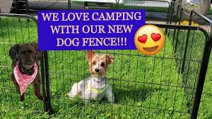 Jun 11, 2021 · my dog (and he is a little dog) escaped the fence twice. 21 Dog Fence Ideas For Your Yard