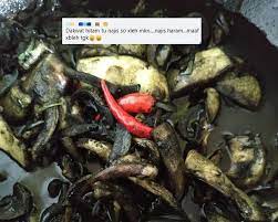 Hukum memakan sotong dan pasinya. Dah Macam Minyak Enjin Posting Menu Terlajak Hitam Buat Ramai Terhibur Tapi Ada Pula Persoal Hukum Makan Dakwat Sotong Sia Sia Agamawan Buat Laman Web Viral Mstar