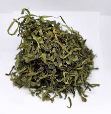 Image result for Gnetum africanum