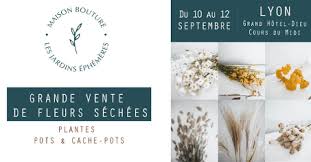 On A Teste Pour Vous Vente De Fleurs Sechees Maison Bouture