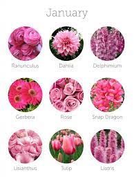 Check spelling or type a new query. Wedding Budget Tip 16 Choose In Season Flowers To Save Money