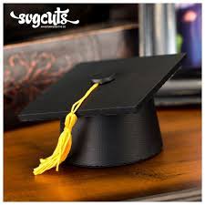 Pin On School Graduation