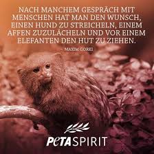 Go on to discover millions of awesome videos and pictures in thousands of other. 900 Peta Ideen Tierschutz Tiere Veganer Zitate