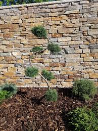 Pin Auf Rund Ums Haus Terrasse Garten Vorplatz