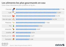 Quel pourcentage d'eau sur terre? Quels Sont Les Aliments Les Plus Gourmands En Eau