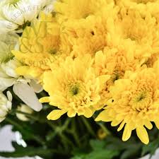 51 diy ways to throw the best new year's party ever. Pom Pom Cushion Flower In Yellow Wholesale Flowers And Supplies