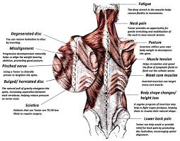 Healthandfitness Equipment Com Inversion Table Inversions Inversion Therapy