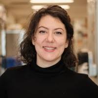 Elena Longhi Email & Phone Number