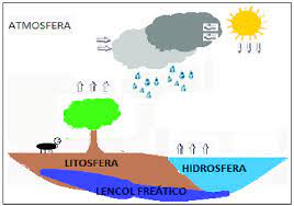 Slido (hielo, nieve), lquido y gas (vapor de agua). Esquema Do Ciclo Da Agua Download Scientific Diagram