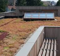 Toiture verte extensive | Guide Bâtiment Durable