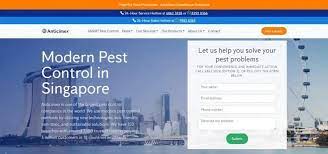 You can compare and view a list of pest control services that can suit your home needs. Top 5 List Of Best Affordable Pest Control Companies In Singapore