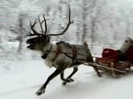 The start link to the sleigh and snap the links to it. Reindeer Run With Santa S Sleigh Through The Snow Youtube