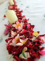Tropical themes is a great alternative for couples that love to travel. Tropical Wedding Centerpiece Ideas Lovetoknow