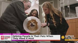 Veterinary Emergency Group: Helping People & Their Pets When They Need It  Most