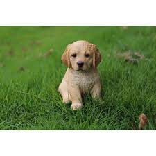 Hi Line Gift Yellow Golden Retriever Puppy Sitting 87771 07 The Home Depot Retriever Puppy Golden Retriever Puppy Puppy Sitting