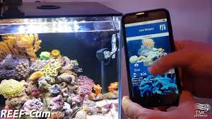 Reef Cam Tropical Marine Centre Has Introduced The Reef Cam A Live Streaming Underwater Camera That Lives In Your Tank Underwater Camera Aquarium Underwater