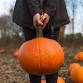 The GREAT Pumpkin FALL FESTIVAL — PRESBYTERIAN DAY SCHOOL