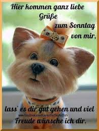 Sei Schon Fleissig Im Buro Ein Filmchen Nach Der Buroarbeit Schonen Sonntag Spruche Sonntag Bilder Sonntagsgrusse Bilder