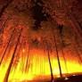 La NASA descubre cómo acabar con los incendios más virulentos: la clave la tienen las comunidades indígenas