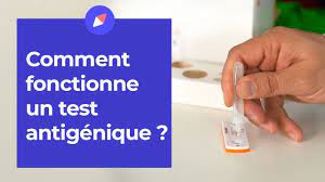 Elles ne sont détectables que si le virus est vivant. Tests Antigeniques Comment Ca Marche Youtube