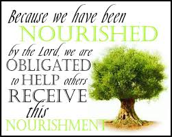 The Allegory Of The Olive Trees Olive Tree Tree Quotes Gospel Of Jesus Christ