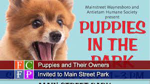 11 preschools near chambersburg, pa. Puppies And Their Owners Invited To Main Street Park Fcfreepress Com