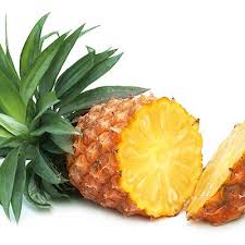 Don T Throw Away That Pineapple Core Why The Circular Woody Center Contains High Levels Of Bromelain A Digestive Nutritious Meals Health And Nutrition Eat