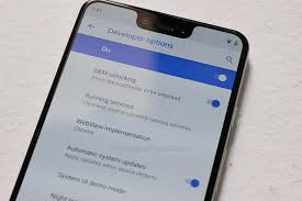 I unlocked the developer options, allowed the usb debugging and also managed to unlocked the oem unlocking for a short moment. How To Unlock The Bootloader On Google Pixel 3 And Pixel 3 Xl The Custom Droid