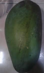 Bisnis pertanian buah mangga memang menjadi salah satu bisnis yang tidak pernah mati. Mango Fruit Cotton Candy Buah Mangga Harum Manis Steemit