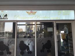 Pampered pets dog groomers are ready to make your pets salon experience as stress free as possible. Pampered Poochies Pet Grooming Centres In Jumeirah Lake Towers Al Thanyah 5 Dubai
