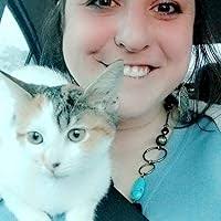 Savannah, or A Gift for Mr. Lincoln by John Jakes