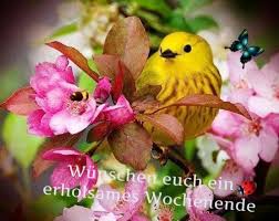 whatsapp gruesse wochenende kostenlos gb bilder gb pics gastebuchbilder whatsapp grusse wochenende vogel fotos schone vogel