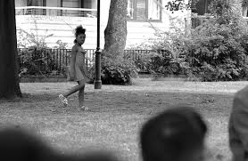 Image result for Afrosolen schimperi