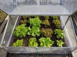 The basic cold frame consists of hinged or fixed windows on top of a base. How To Build A Cold Frame Tips For Cold Frame Gardening The Old Farmer S Almanac
